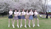 😍满屏大长腿！浙江蕞红啦啦队在树下的热舞！统一服装了~