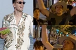 接什琴斯尼事业运