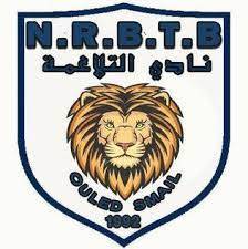 NRB电报队徽