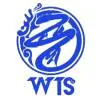 晋龙WTS队徽