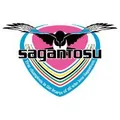 鸟栖砂岩队徽