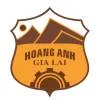 嘉莱黄英队徽
