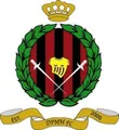 文莱DPMM队徽