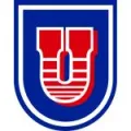 苏克雷大学队徽