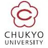 中京大学队徽