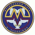 米达雷治U19队徽
