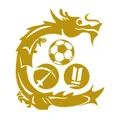 骏英九龙城队徽