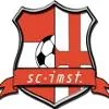 伊姆斯特队徽