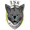 ZNK拉多姆耶队徽