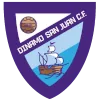 迪纳摩圣胡安队徽