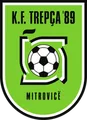 特雷普查89 U19队徽