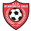 ACS巴尔斯队徽