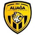 阿里阿加足球俱乐部U19队徽