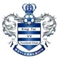 邢台沙河万率队徽
