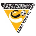 东营队队徽