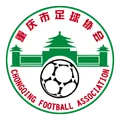 重庆青训U15队徽